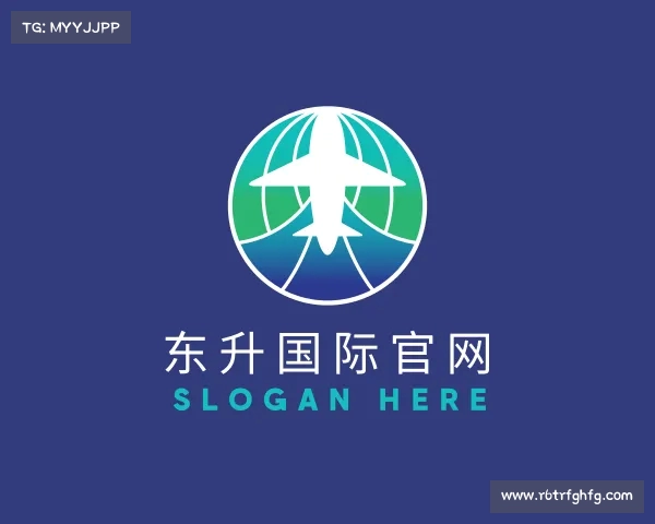 介绍东升国际官网